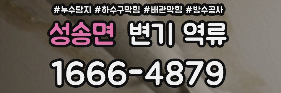 성송면 변기 역류