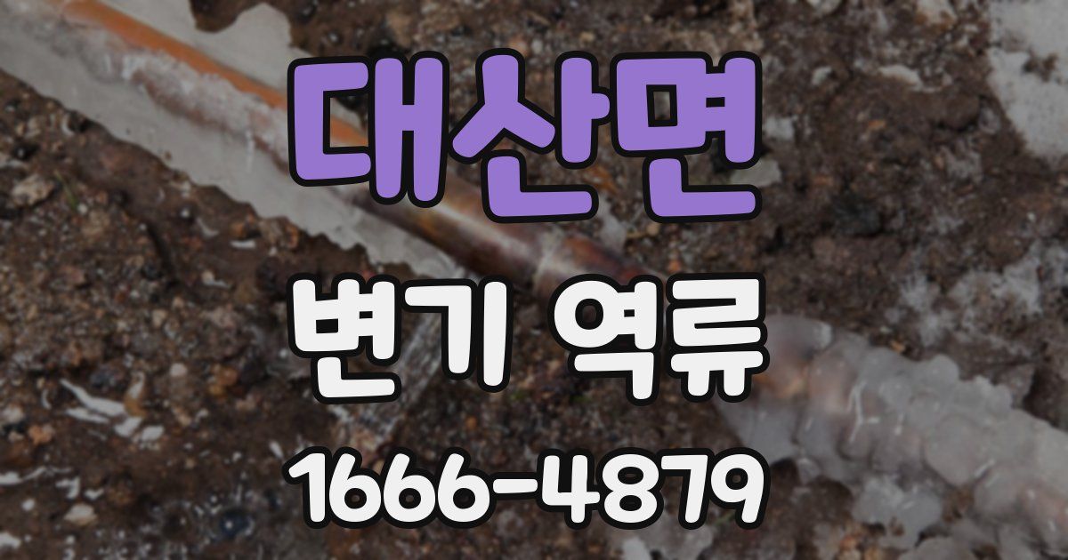 대산면 변기 역류