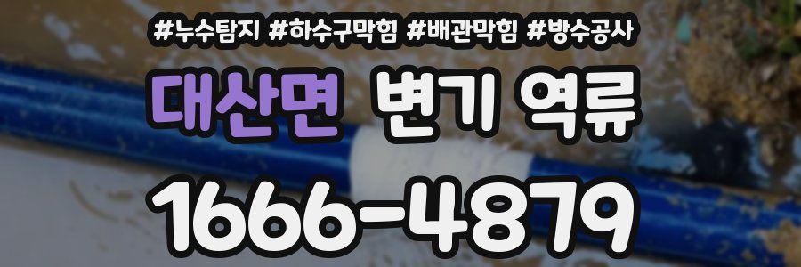 대산면 변기 역류