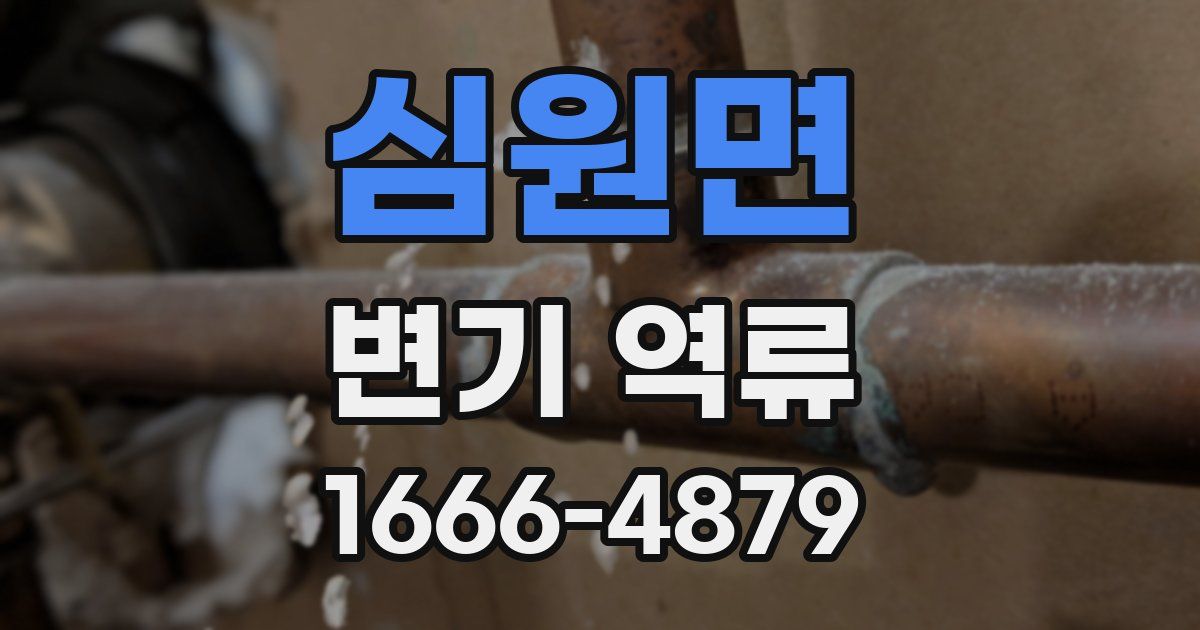 심원면 변기 역류
