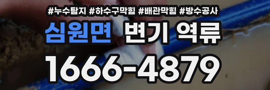심원면 변기 역류