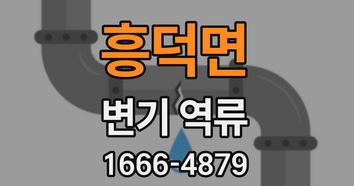 흥덕면 변기 역류