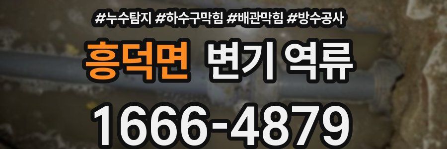 흥덕면 변기 역류
