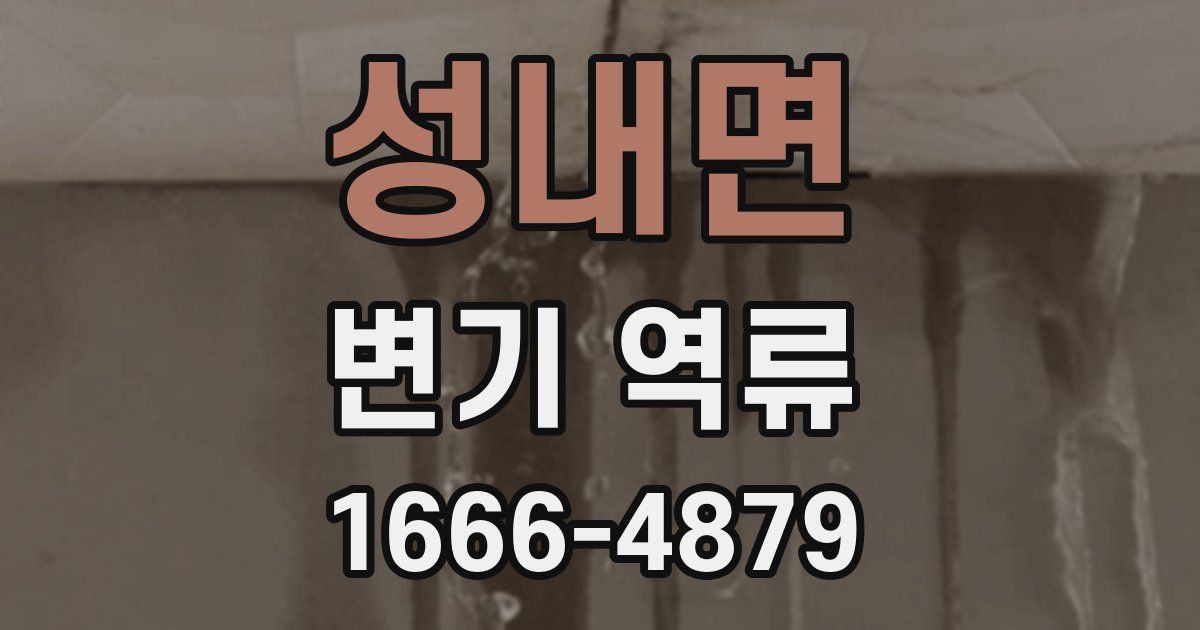 성내면 변기 역류