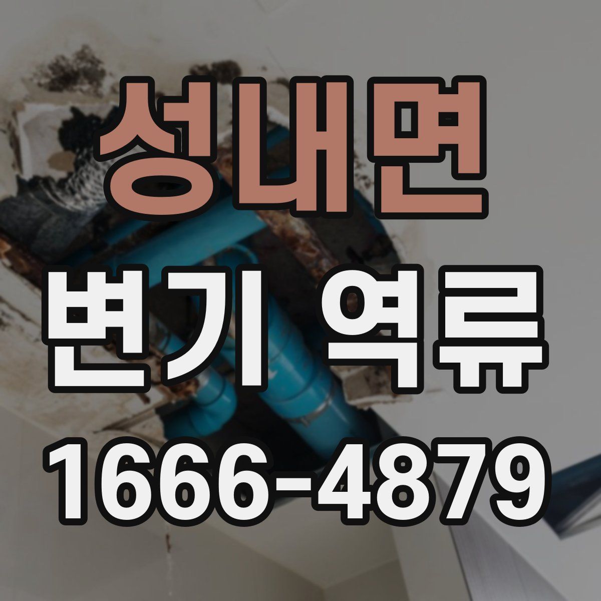 성내면 변기 역류