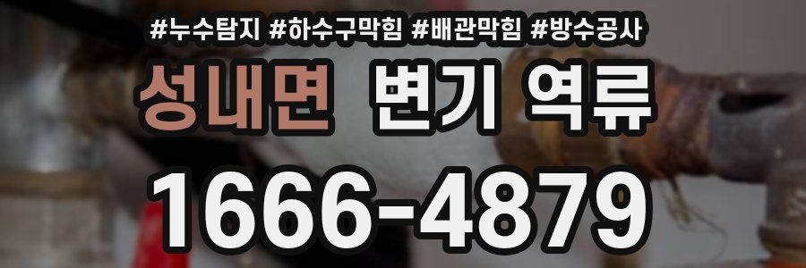성내면 변기 역류