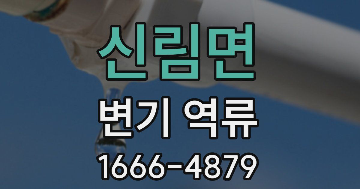 신림면 변기 역류