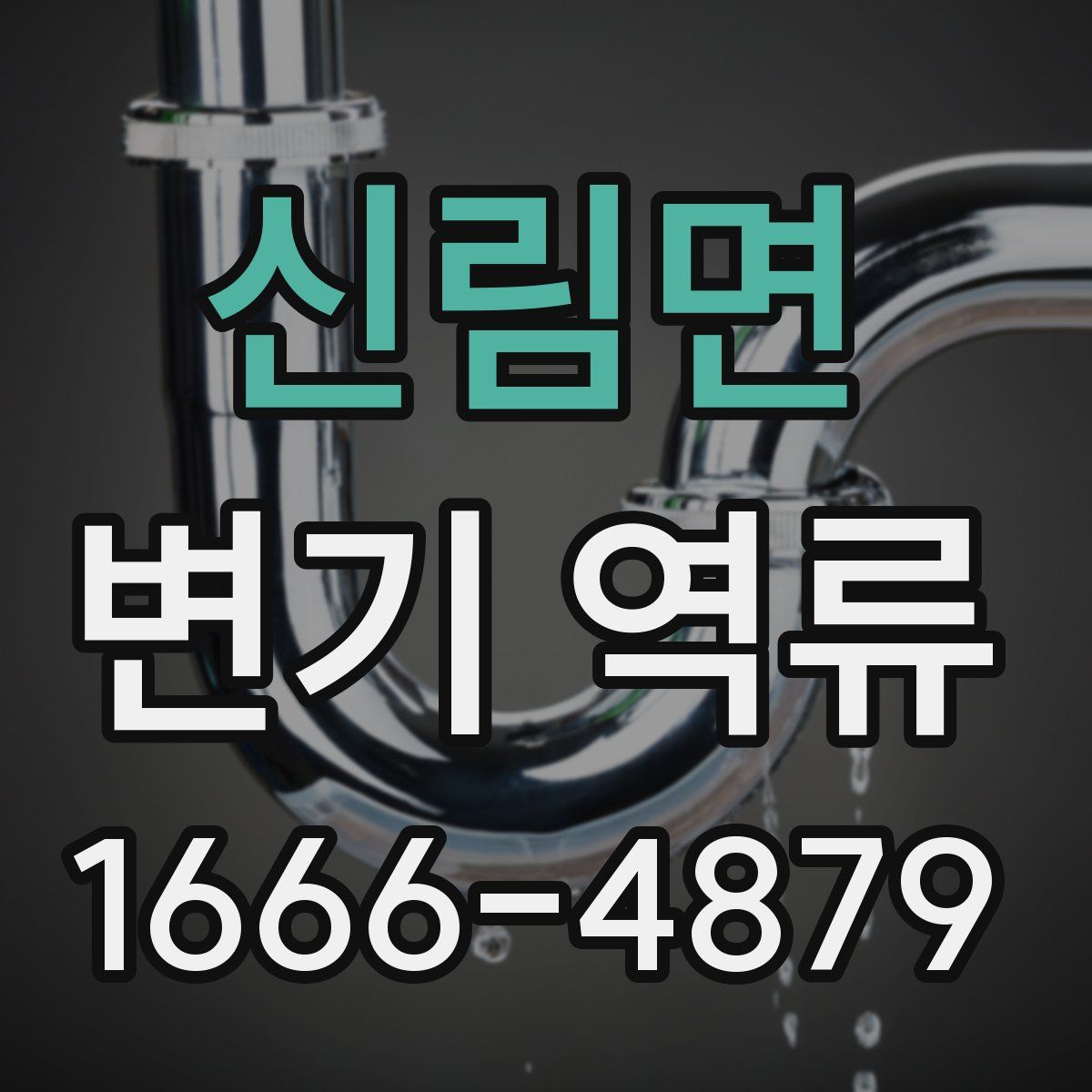 신림면 변기 역류