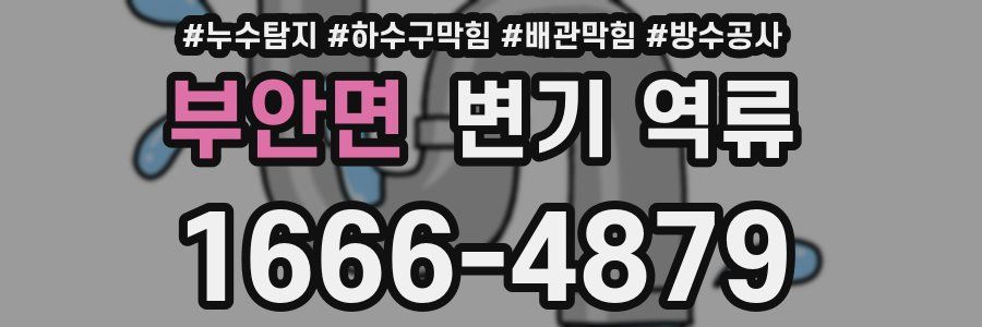 부안면 변기 역류