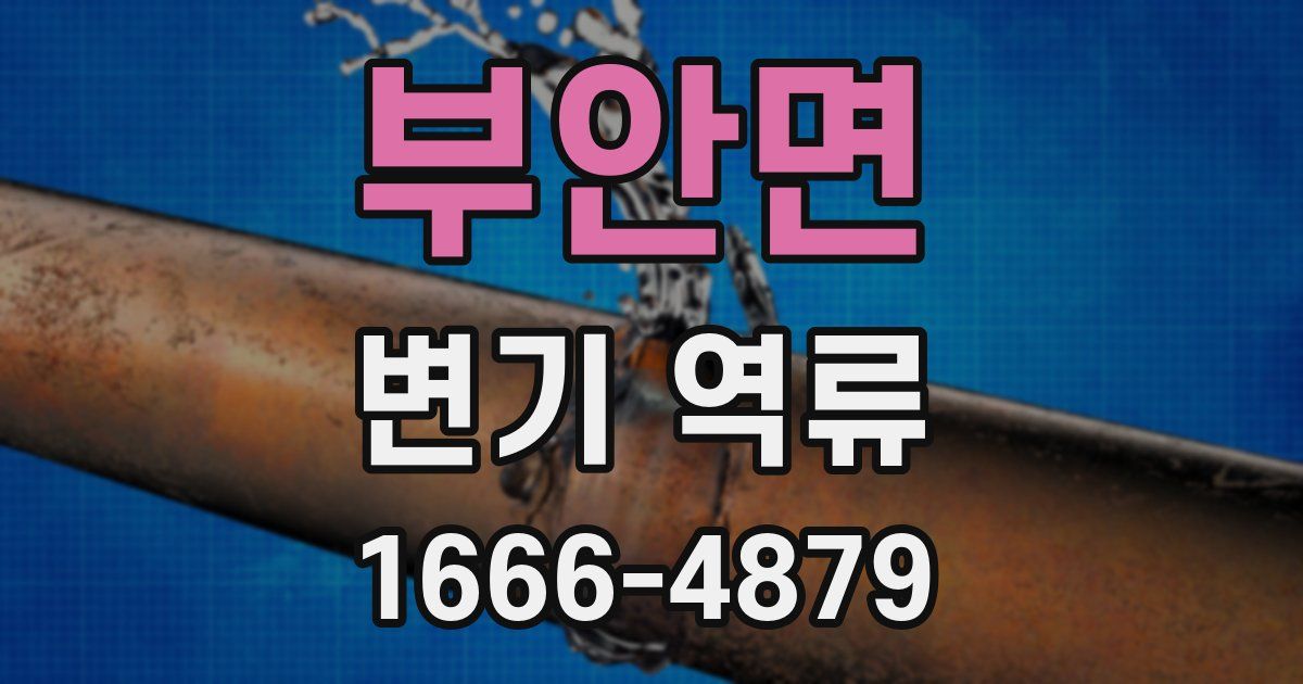부안면 변기 역류