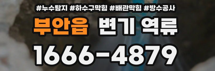 부안읍 변기 역류