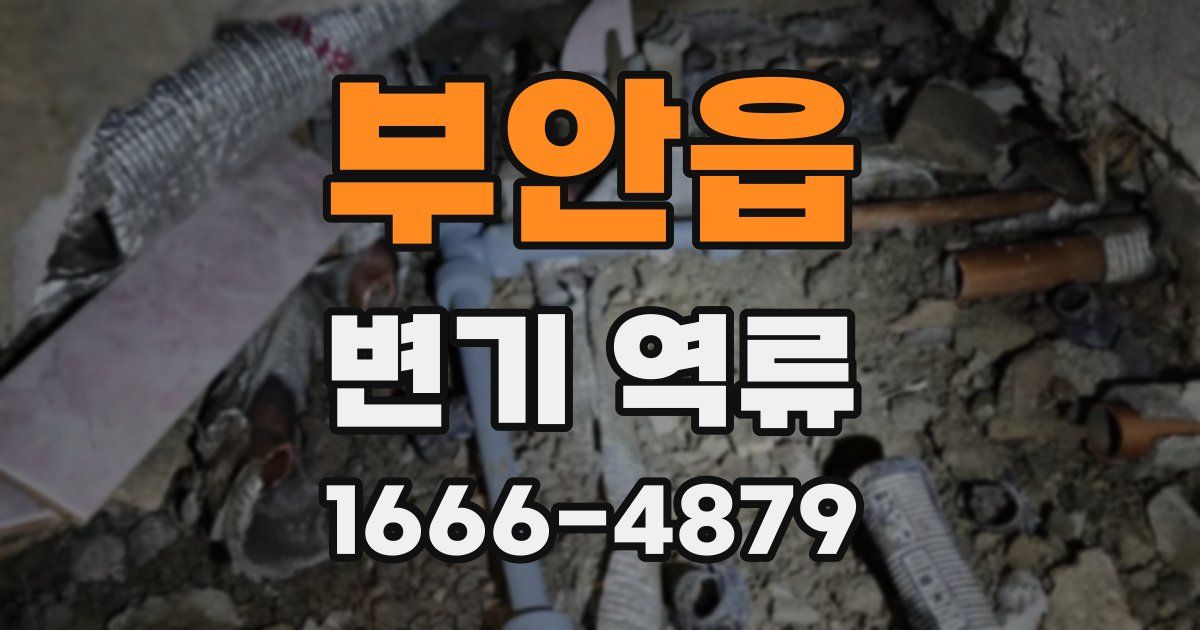 부안읍 변기 역류