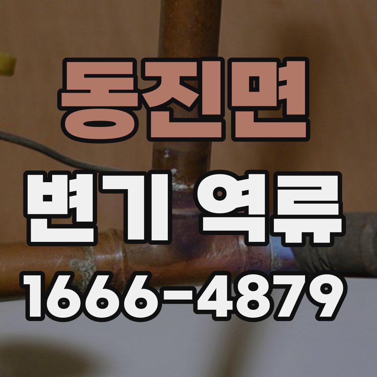 동진면 변기 역류
