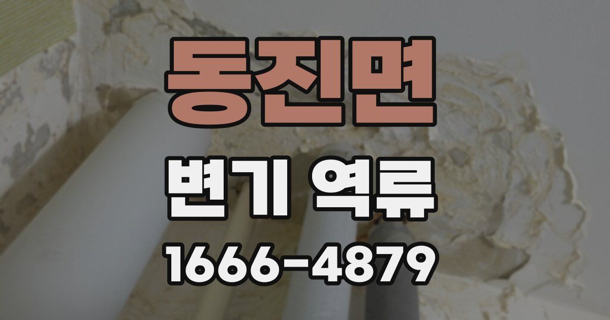 동진면 변기 역류