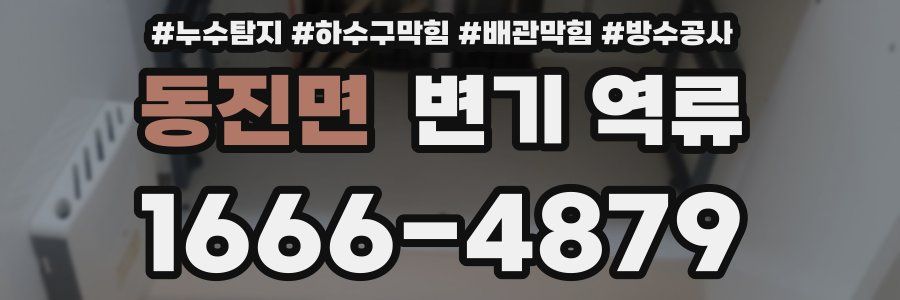 동진면 변기 역류