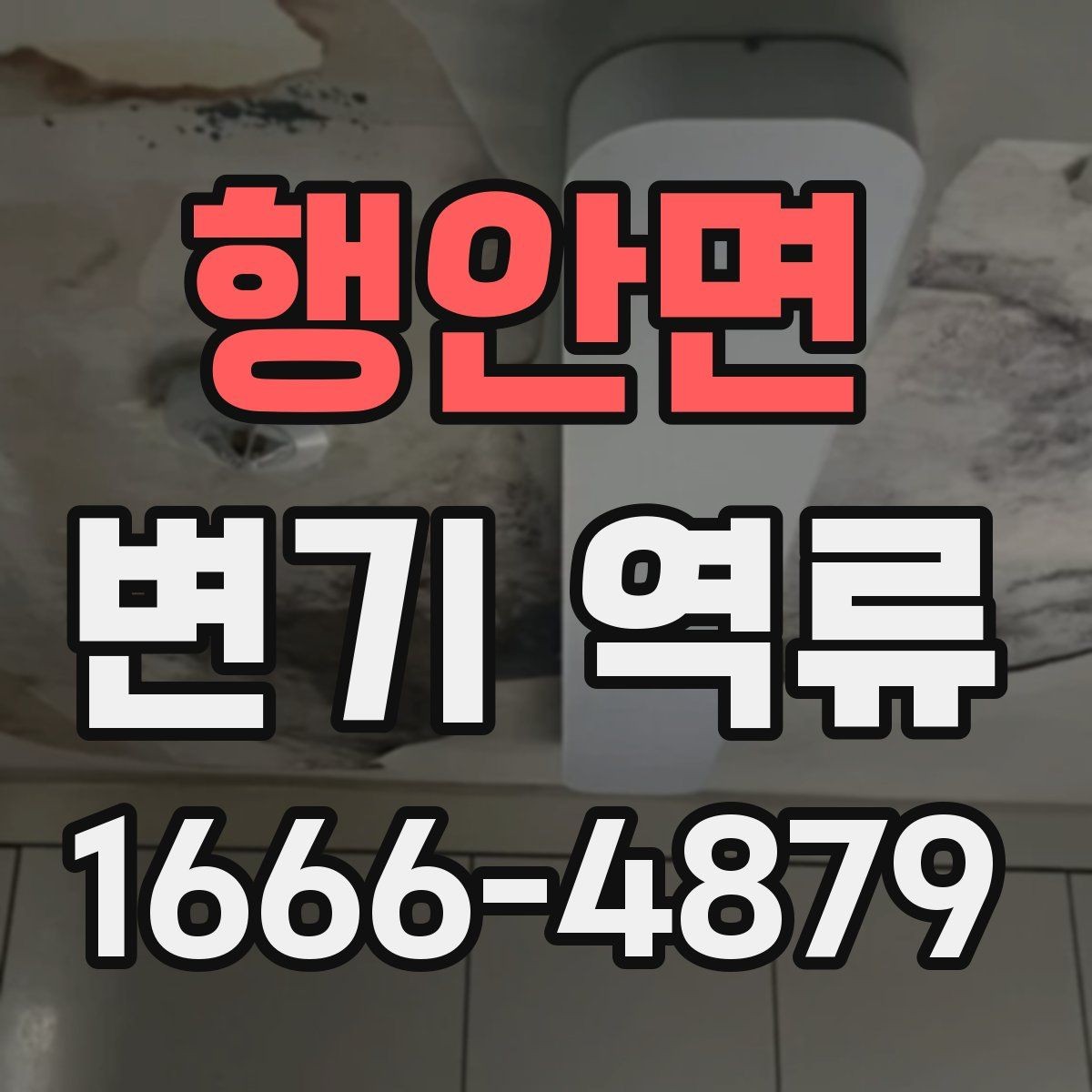 행안면 변기 역류 상황에서 안전하게 청소하는 법