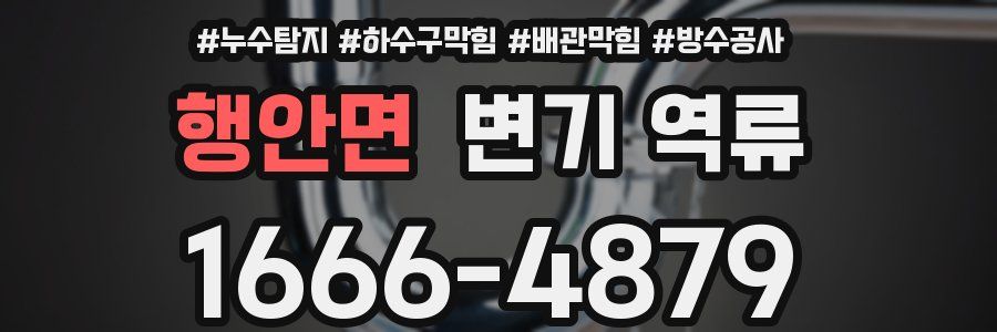 행안면 변기 역류