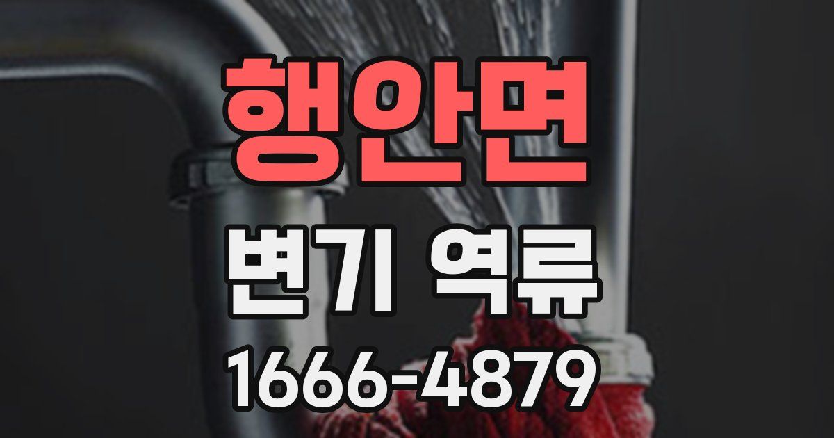 행안면 변기 역류
