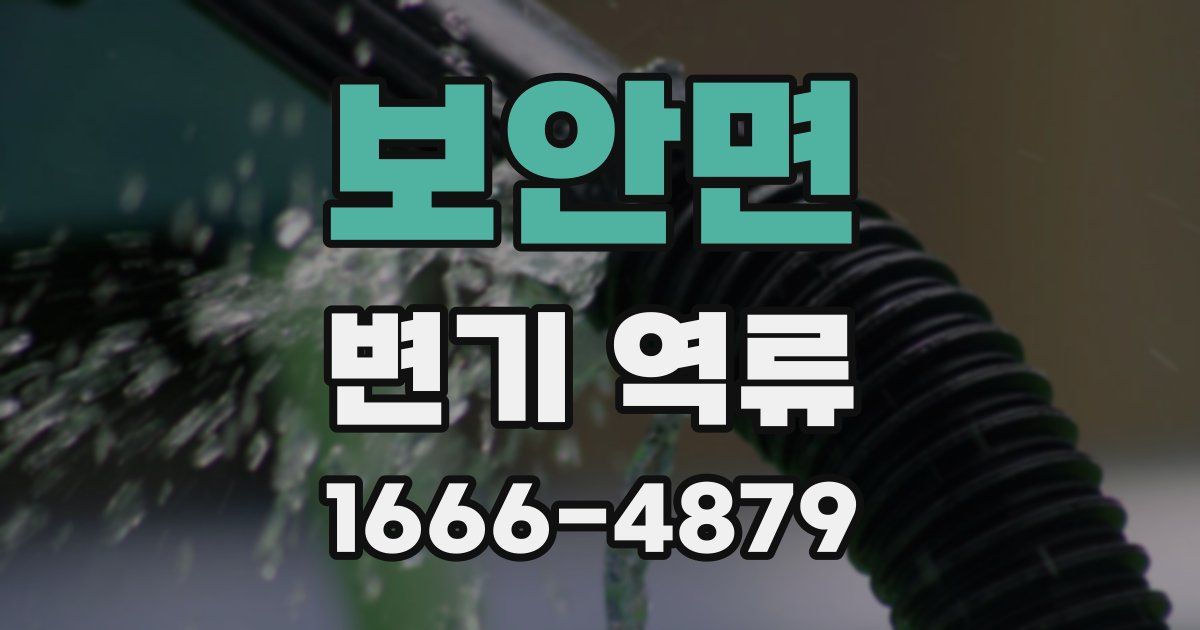 보안면 변기 역류