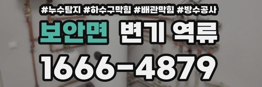 보안면 변기 역류