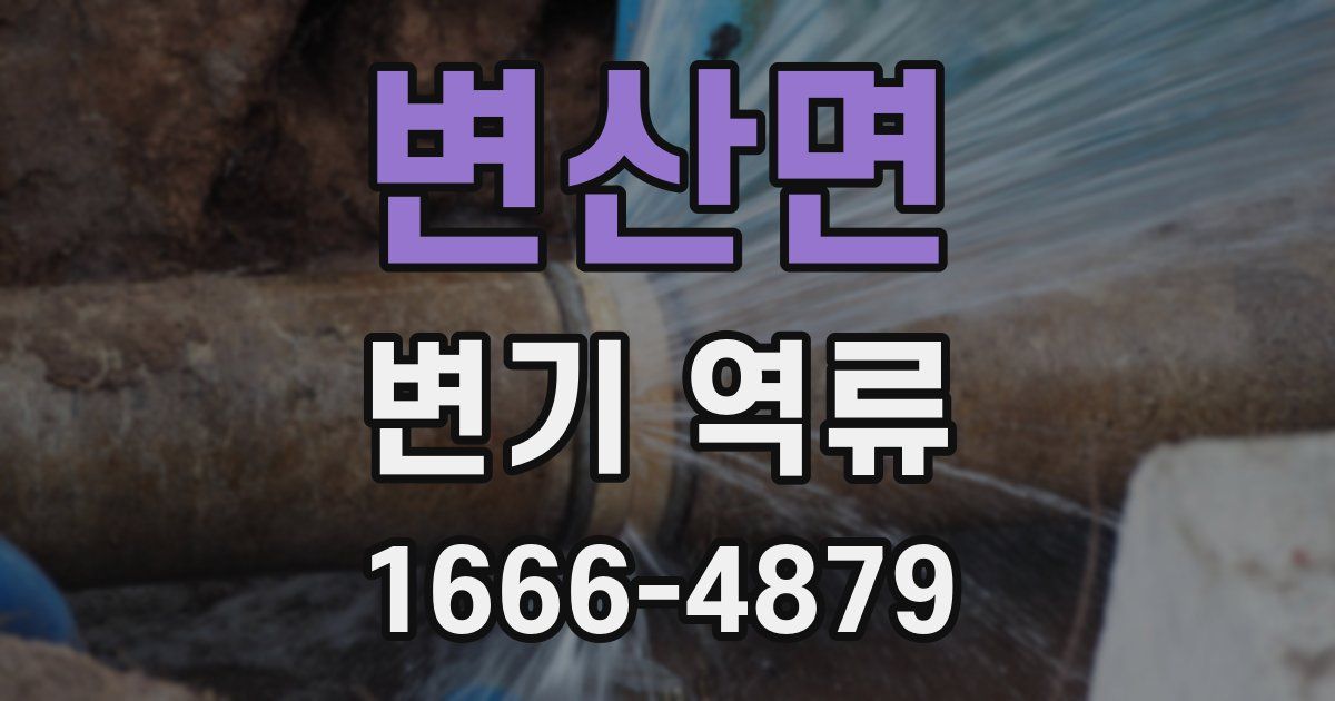 변산면 변기 역류