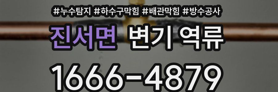 진서면 변기 역류