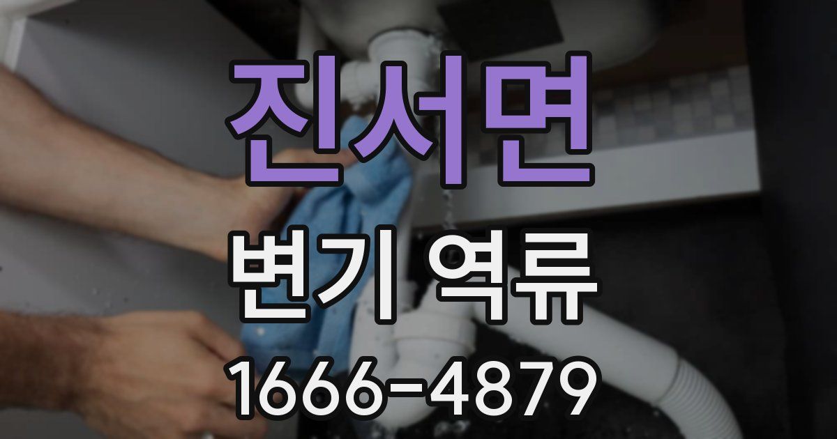 진서면 변기 역류