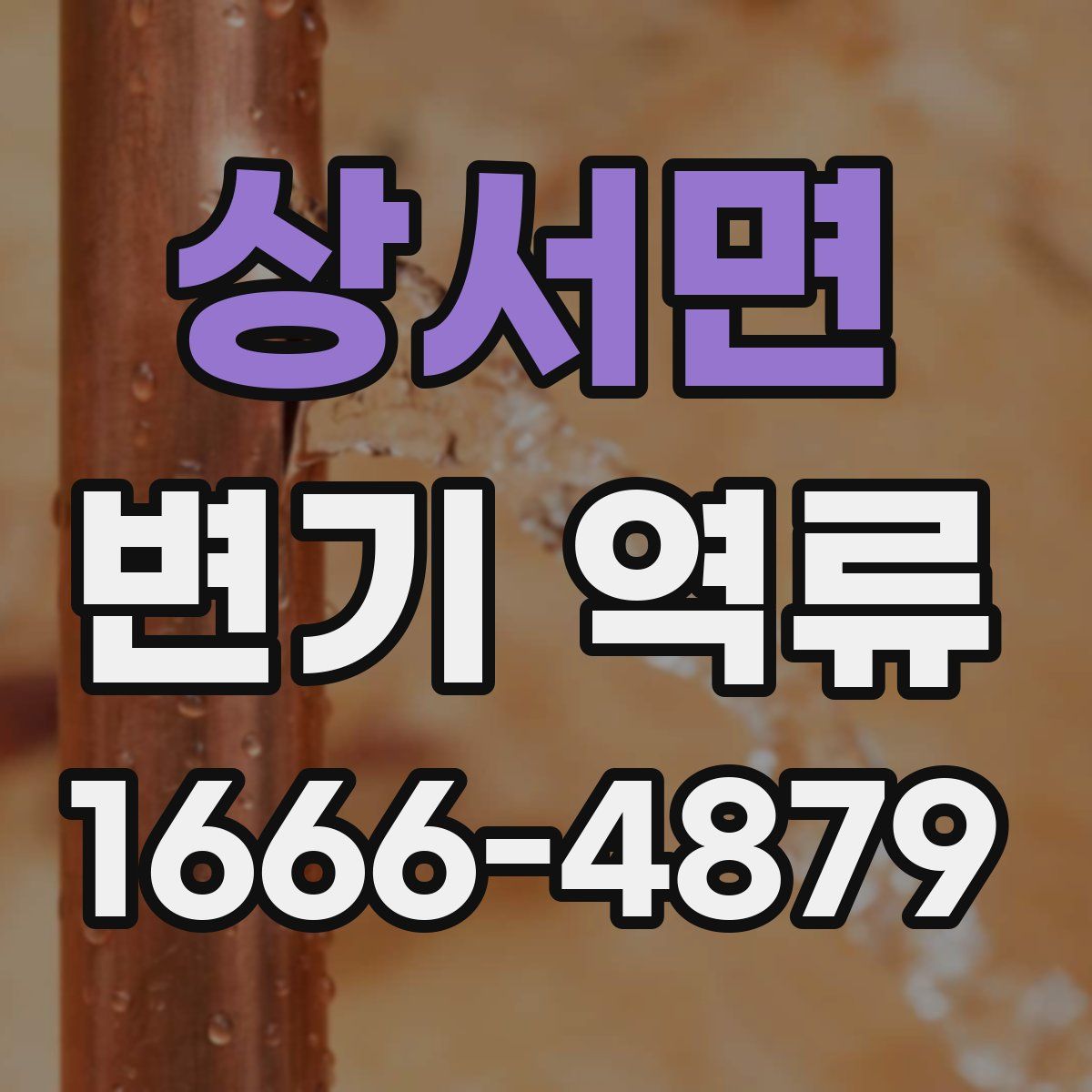 상서면 변기 역류