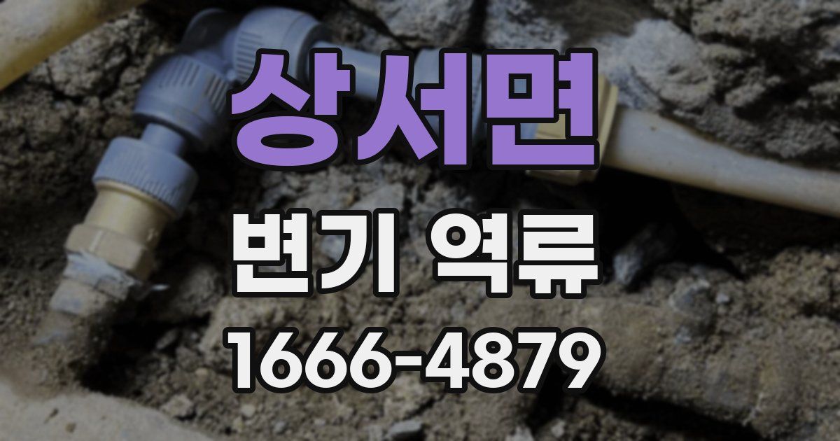 상서면 변기 역류