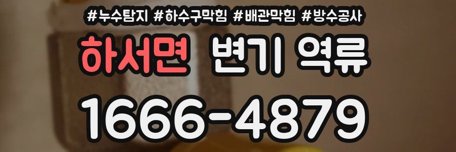 하서면 변기 역류