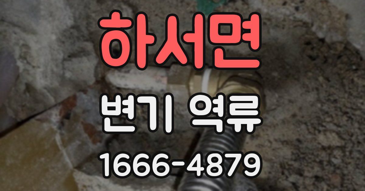 하서면 변기 역류