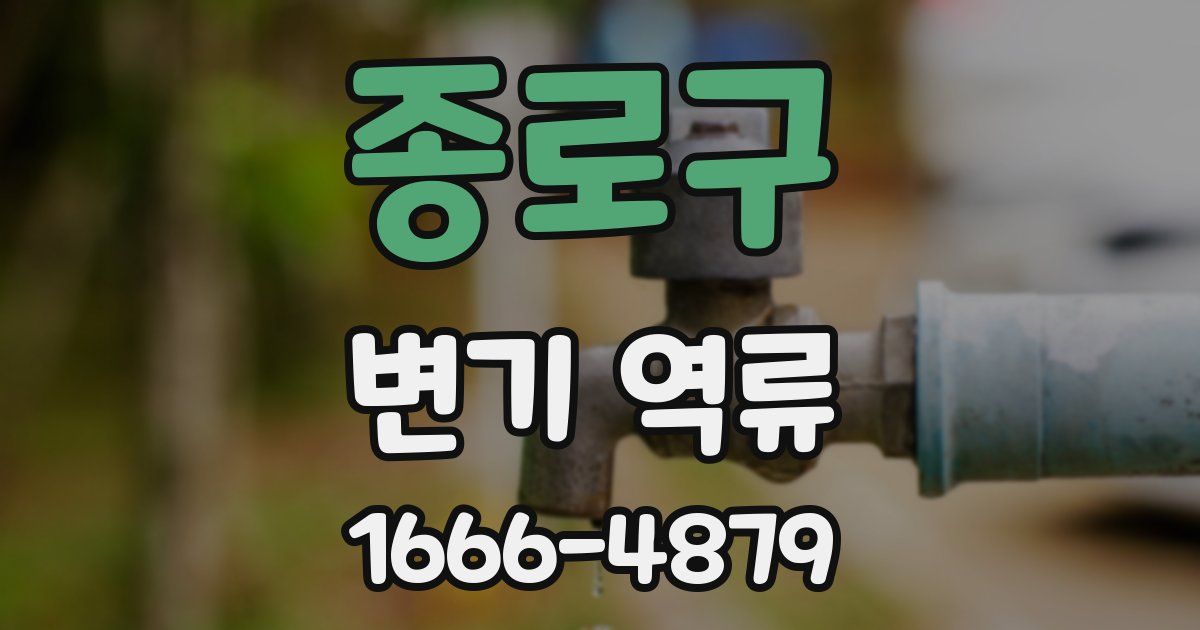 종로구 변기 역류