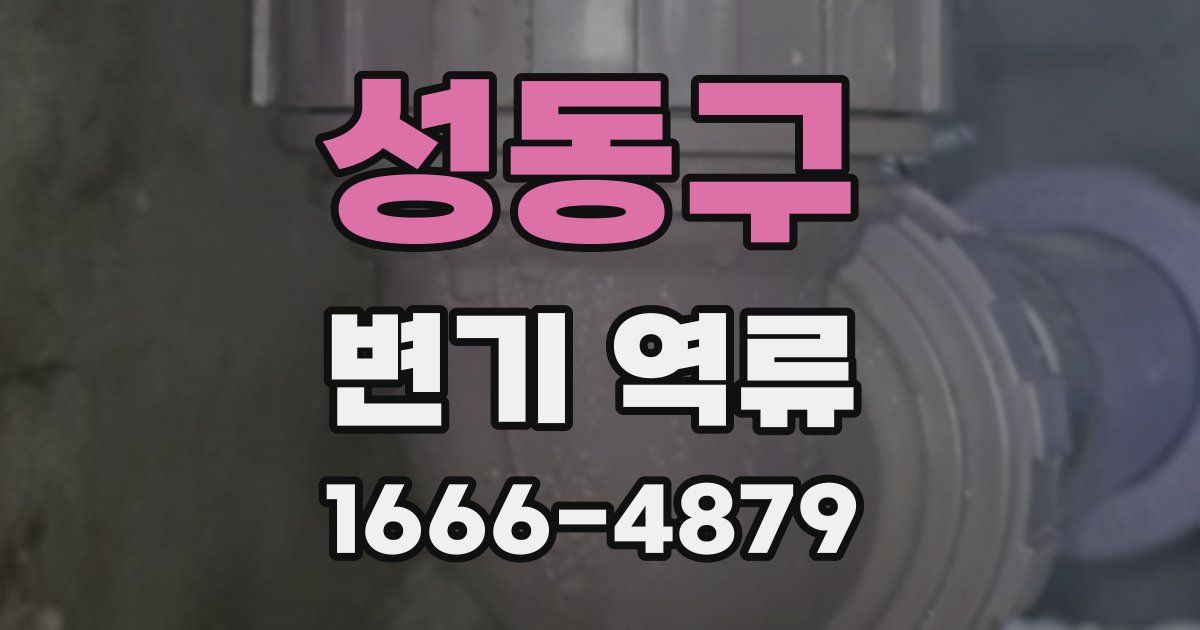 성동구 변기 역류