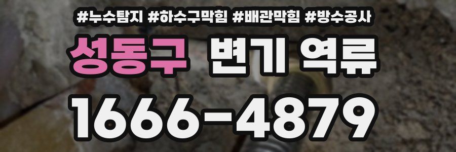 성동구 변기 역류