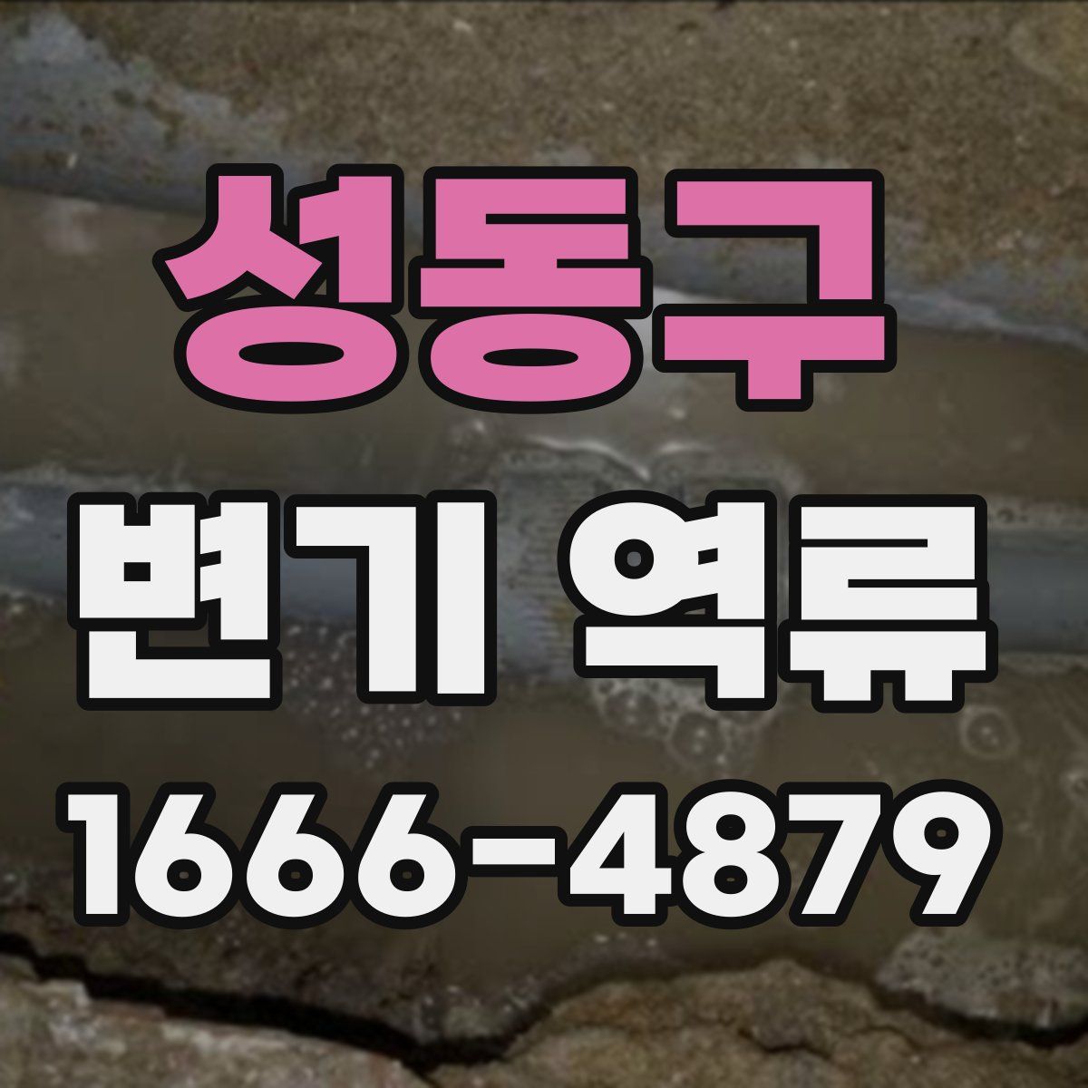 성동구 변기 역류