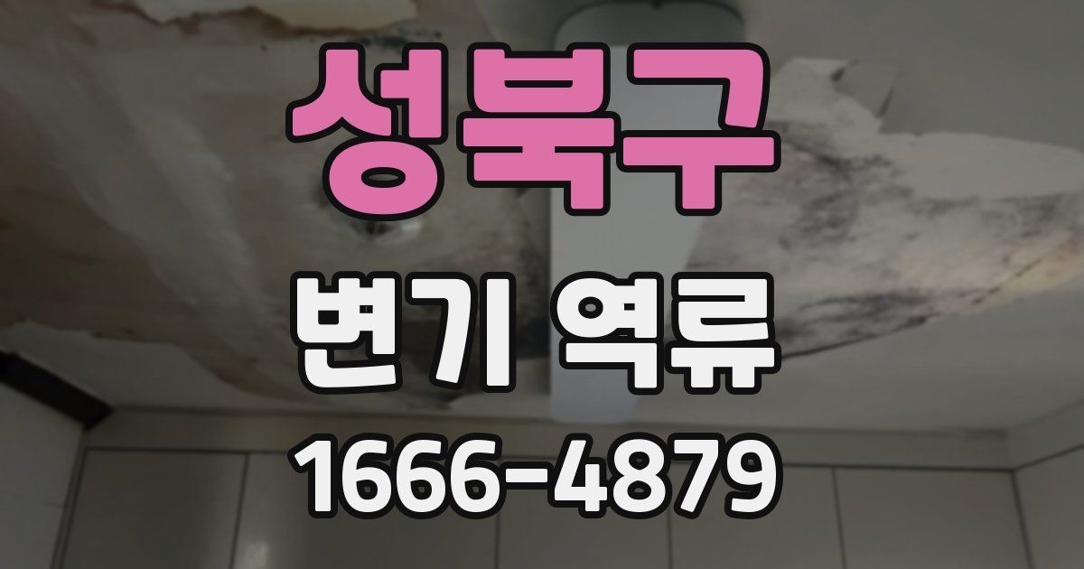 성북구 변기 역류