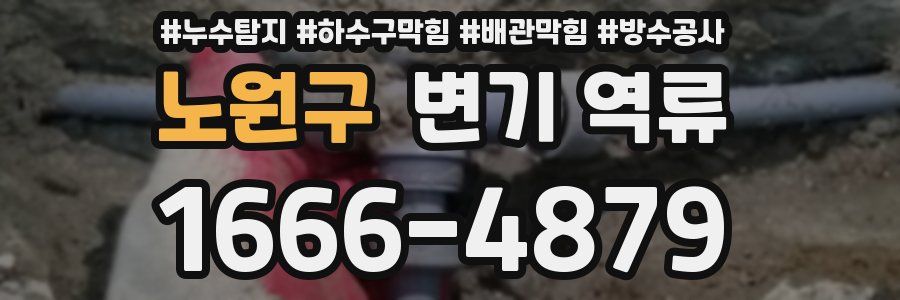 노원구 변기 역류