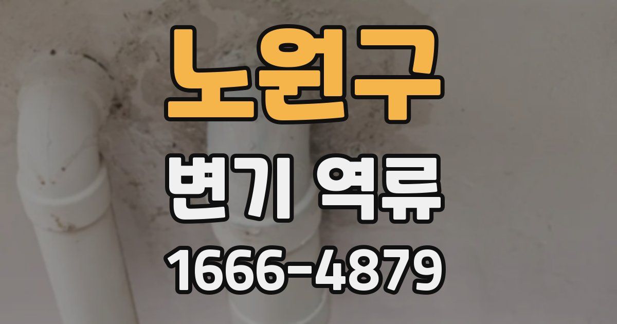노원구 변기 역류
