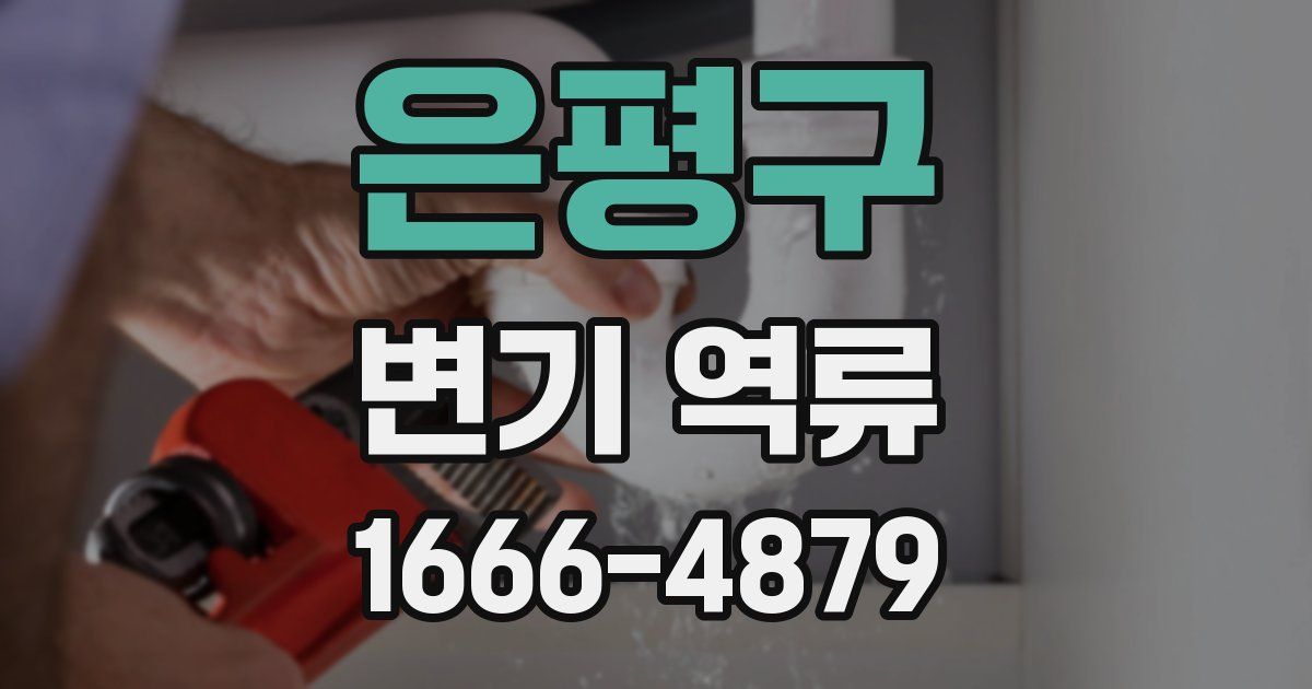 은평구 변기 역류