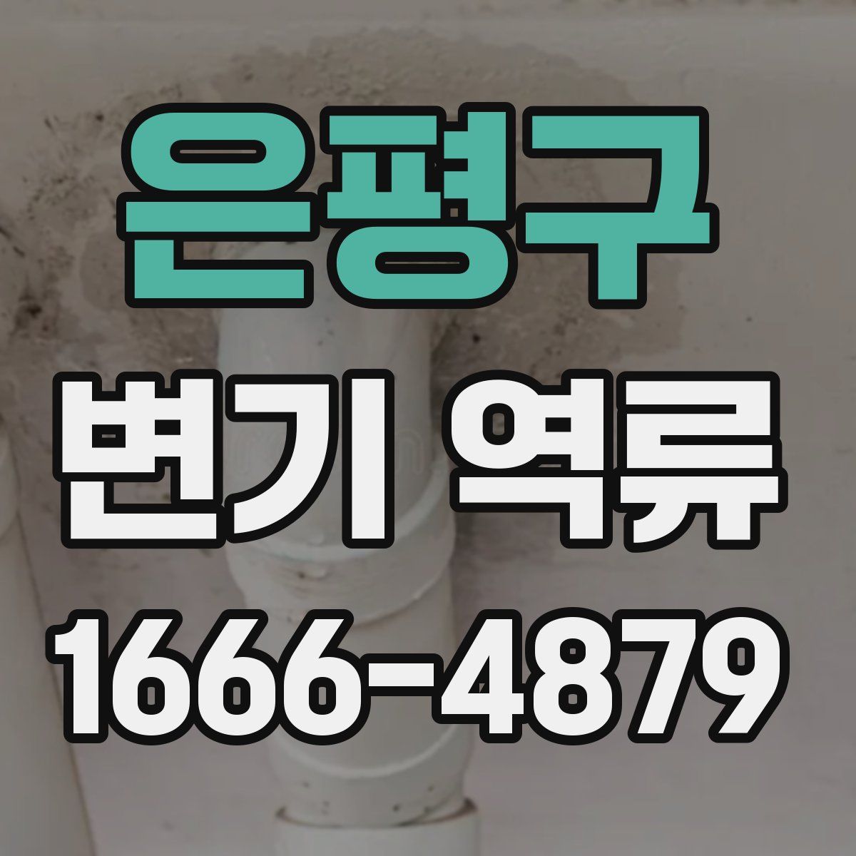 은평구 변기 역류