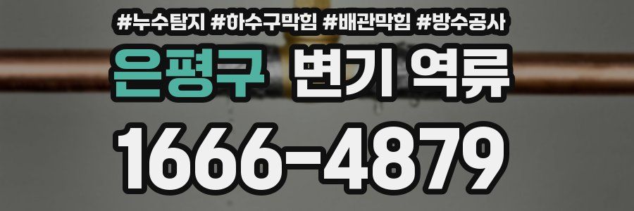 은평구 변기 역류