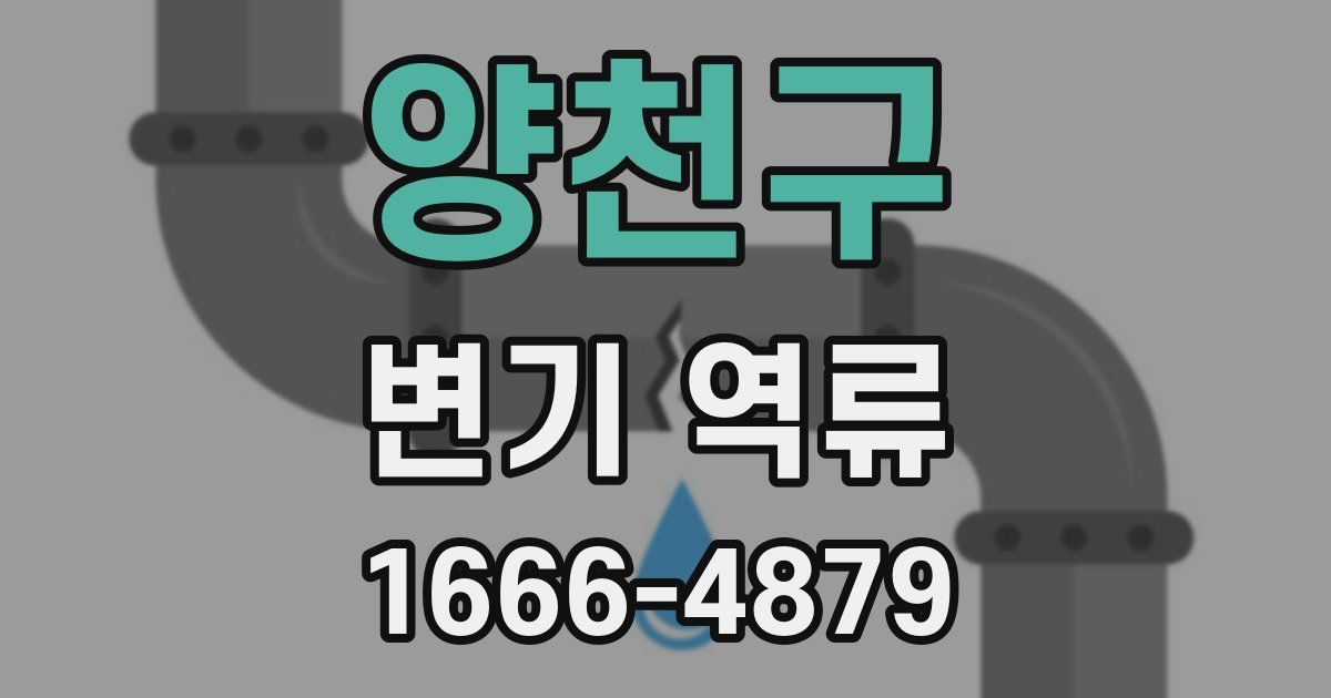 양천구 변기 역류