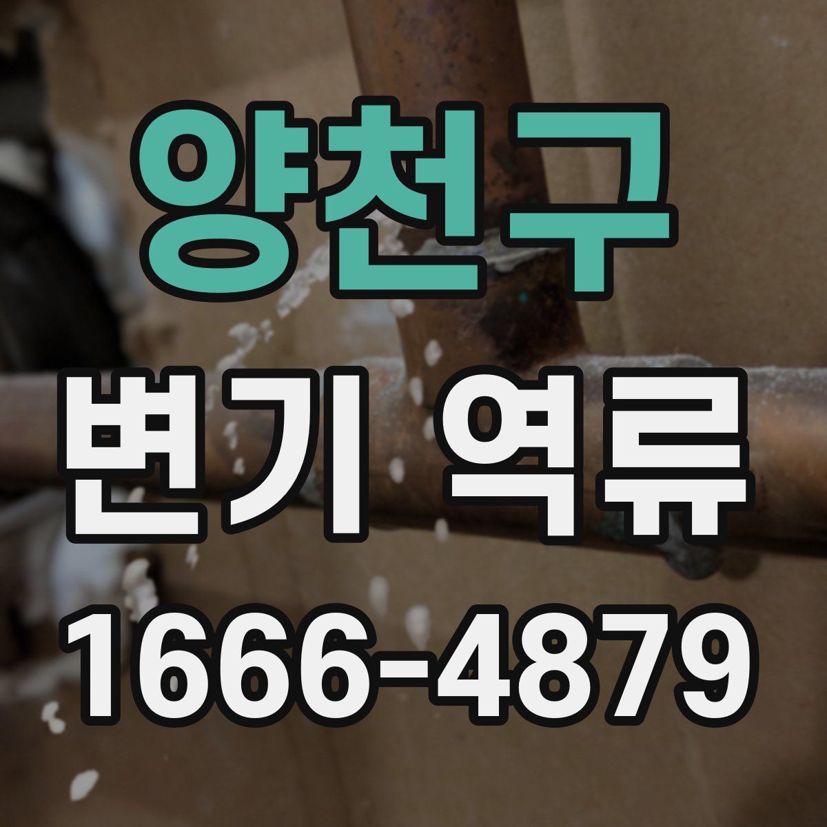 양천구 변기 역류