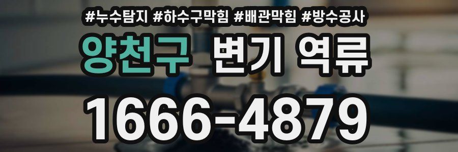 양천구 변기 역류
