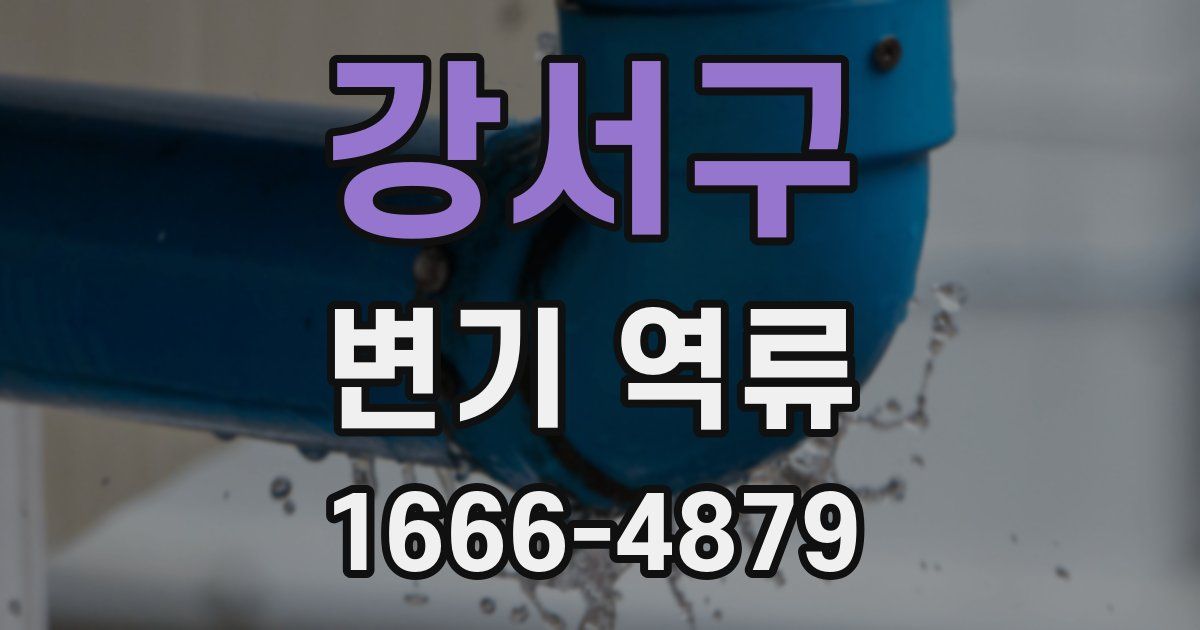강서구 변기 역류