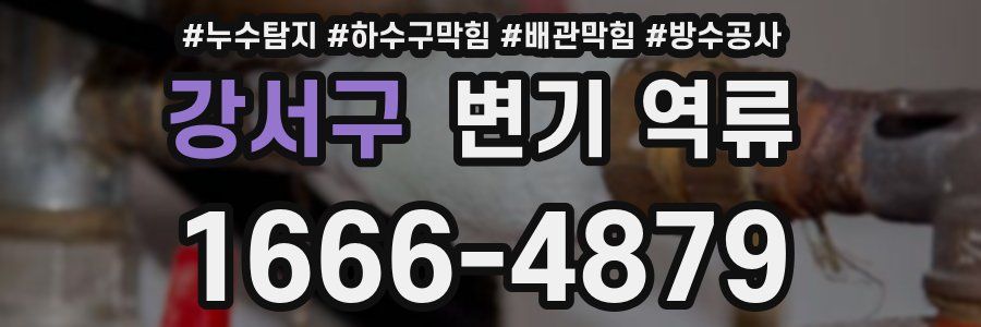 강서구 변기 역류