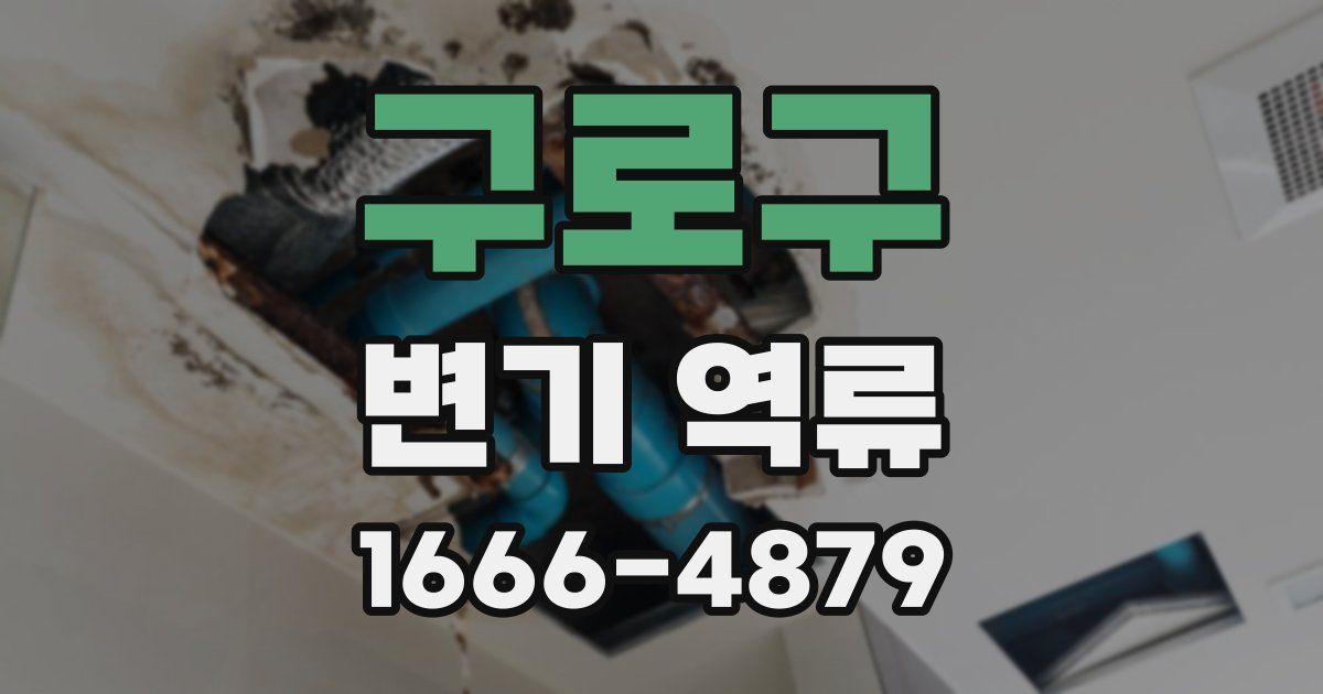 구로구 변기 역류