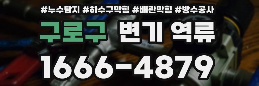 구로구 변기 역류