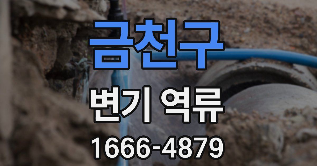 금천구 변기 역류