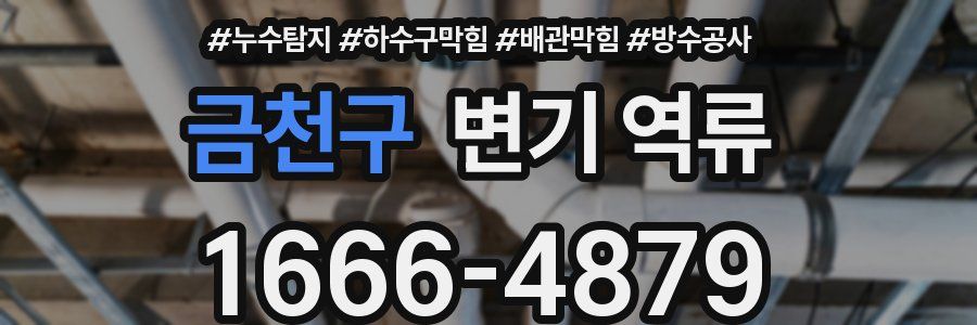 금천구 변기 역류